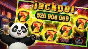 8cc bet